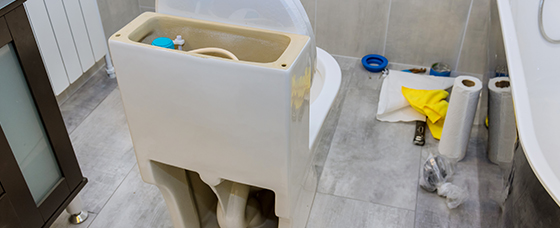 Why Your Sink Gurgles and What It’s Trying to Tell You